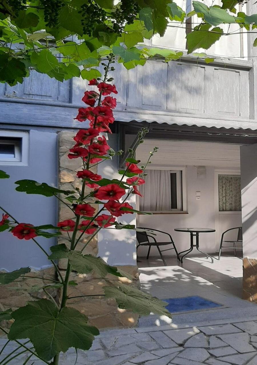 Beso-House Lägenhet Borjomi Exteriör bild